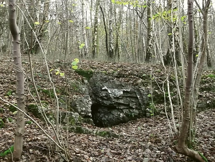 The cave entrance in 2014