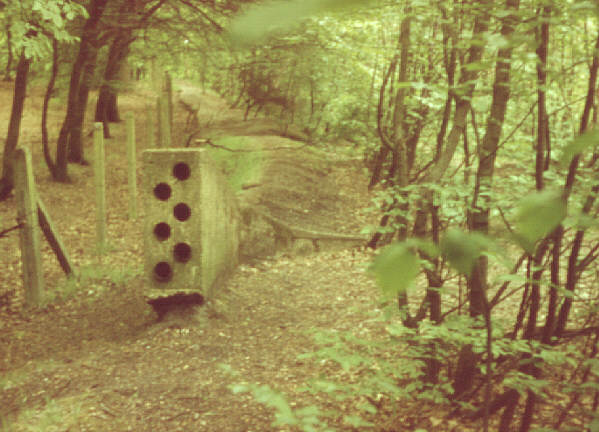 By Highgate Wood, London, UK. Summer 1980. Old cable conduit on former railway line to Alexandra Palace.