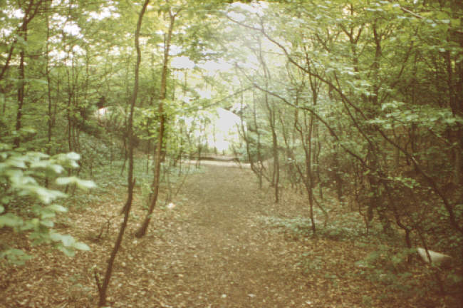 By Highgate Wood, London, UK. Summer 1980. Old cutting on former railway line to Alexandra Palace.