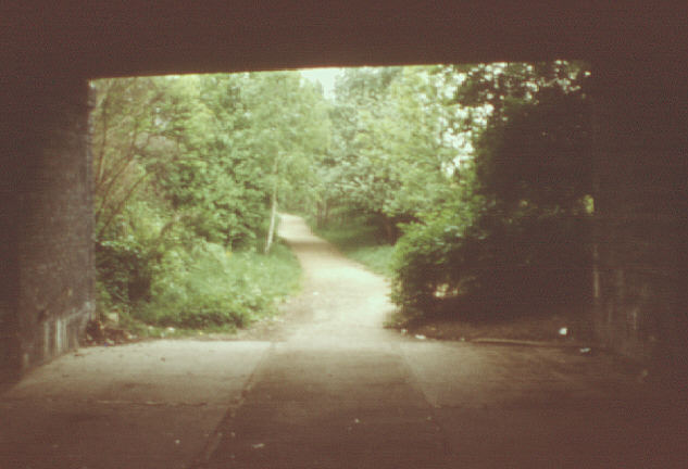 London, UK. Summer 1980. View east from under Muswell Hill Road bridge on former railway line to Alexandra Palace.