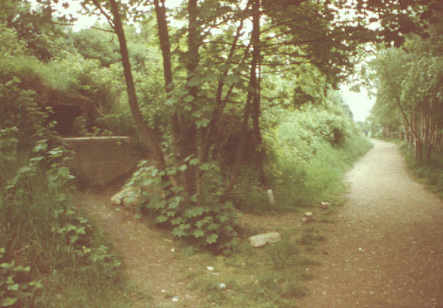 Muswell Hill, London, UK. Summer 1980. Former railway to Alexandra Palace, north of Cranley Gardens.