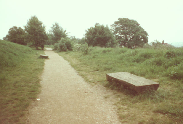 Muswell Hill, London, UK. Summer 1980. Former railway to Alexandra Palace, south of St. James's Lane.