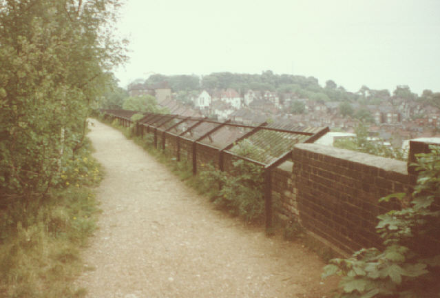 Muswell Hill, London, UK. Summer 1980. Looking north-east from former railway line, north of St. James's Lane.