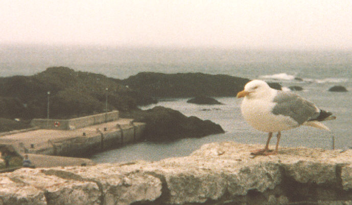 Antrim coast, Northern Ireland. Summer 1988. The harbour at Ballintoy.