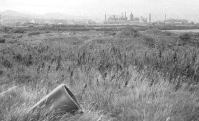 Millom ironworks, Cumbria, UK. Summer 1968. View from south-west towards ironworks over waste ground of Hodbarrow mine